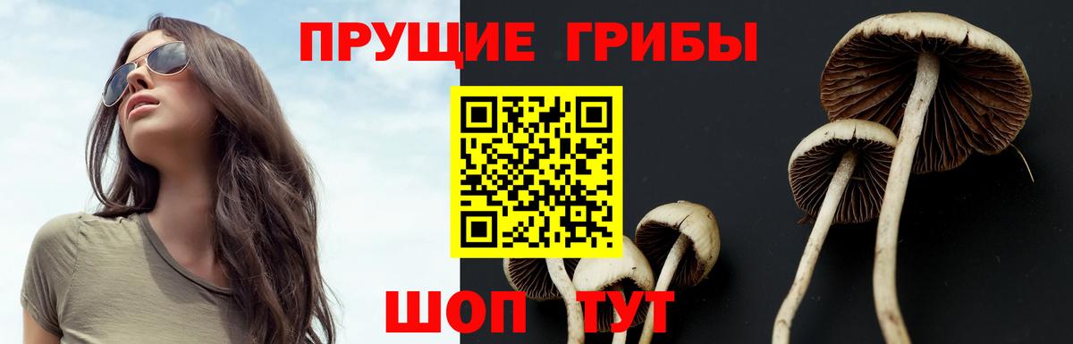 Псилоцибиновые грибы MAGIC MUSHROOMS  что такое наркотик  Биробиджан  Вход с VPN 